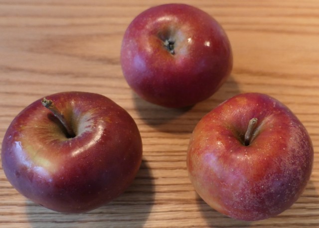 Obsthof Cordes -   1060660